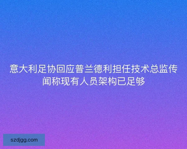意大利足协回应普兰德利担任技术总监传闻称现有人员架构已足够