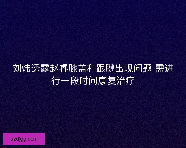 刘炜透露赵睿膝盖和跟腱出现问题 需进行一段时间康复治疗 刘炜透露赵睿膝盖和跟腱出现问题 需进行一段时间康复治疗