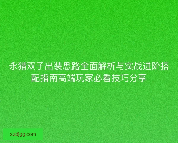 永猎双子出装思路全面解析与实战进阶搭配指南高端玩家必看技巧分享