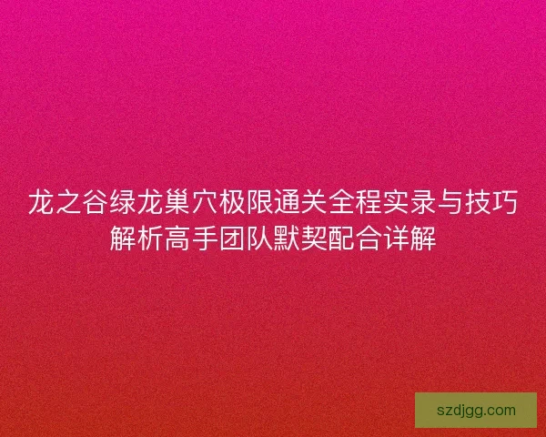 龙之谷绿龙巢穴极限通关全程实录与技巧解析高手团队默契配合详解