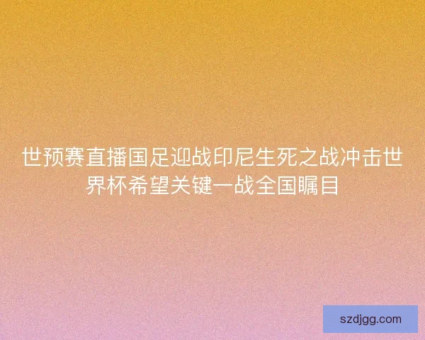 世预赛直播国足迎战印尼生死之战冲击世界杯希望关键一战全国瞩目